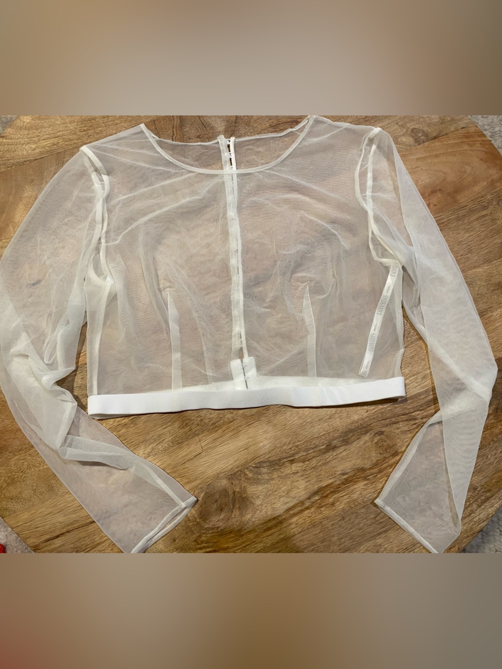 Sheer Mesh Long Sleeve Crop Top